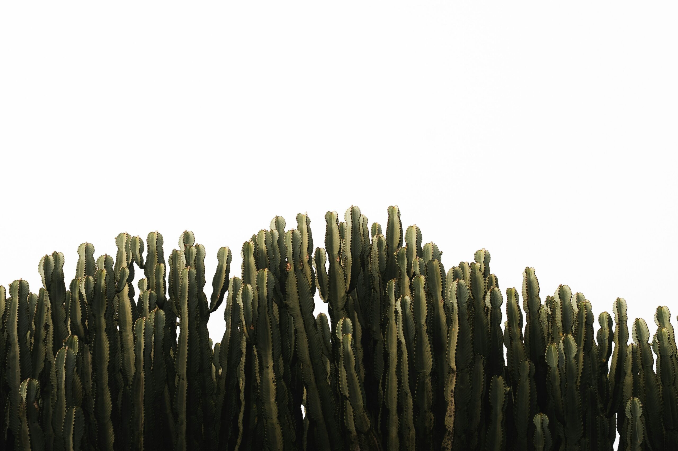 Test Event &#8211; August 2025